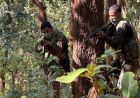 झारखंड में माओवादियों से खाली हुए सुरक्षा कैंपों में खुलेंगे स्कूल और स्वास्थ्य केंद्र