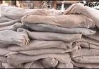 धार में गांजा तस्करी पर पुलिस की कार्रवाई, 6863 पौधे जब्त; एक गिरफ्तार, कई फरार