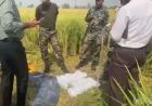 फिरोजपुर बॉर्डर पर BSF की बड़ी कार्रवाई, 70 करोड़ की हेरोइन जब्त