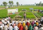 बिहार के 24 जिलों में 27,600 एकड़ में होगी जलवायु अनुकूल खेती, 18 हजार किसानों को मिलेगी ट्रेनिंग