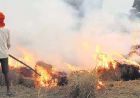 तरनतारन में पराली जलाने से रोकने पहुंचे अधिकारी पर हमला, 90 किसानों के खिलाफ केस दर्ज
