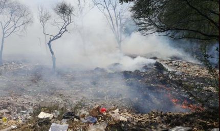 मोहाली में स्वराज ट्रैक्टर फैक्टरी के पास झाड़ियों में लगी आग, दमकल की कई गाड़ियां पहुंचीं