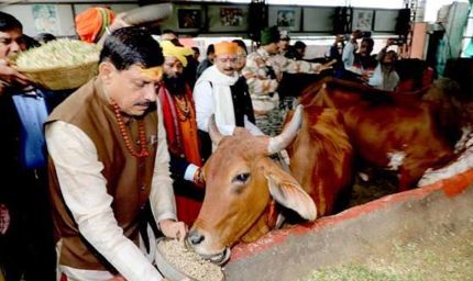 भोपाल में आदर्श गौ शाला स्थापित करने के कार्य को शीघ्र पूर्ण करें: मुख्यमंत्री डॉ. यादव