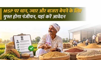 धान, ज्वार और बाजरा उपार्जन के लिए रिकॉर्ड पंजीयन, 10 अक्टूबर तक मिलेगा मौका