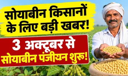 3 अक्टूबर से सोयाबीन पंजीयन शुरू, भावांतर योजना में फिर होगी खरीदी; ₹1 से वेरिफिकेशन