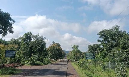 CG से मानसून की विदाई शुरू, दिन का तापमान बढ़ने से गर्मी बढ़ी