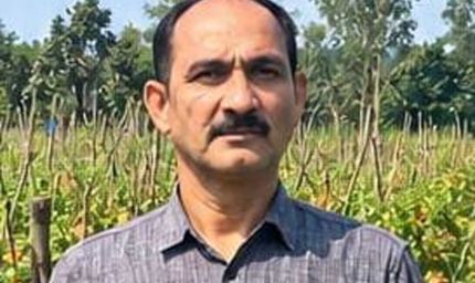 उन्नत टमाटर की खेती से शाहिद की मेहनत लाई रंग, 2 एकड़ में कमाए 1.20 लाख रुपये
