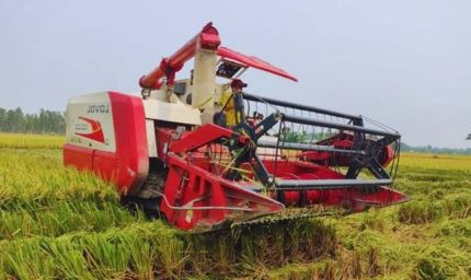 कुरुक्षेत्र में मौसम ने ली करवट, अगले सप्ताह आसमान रहेगा साफ; धान कटाई को मिलेगी रफ्तार
