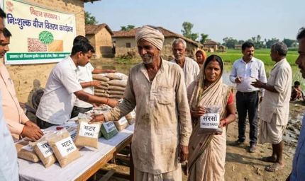 बिहार में बाढ़ प्रभावित किसानों को बड़ी राहत, राई-सरसों और मटर के बीज मिलेंगे मुफ्त