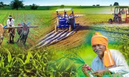 बिहार के DMI पटना के छात्र पंजाब के गांवों में सीखेंगे विकास प्रबंधन के गुर, चार हफ्ते रहेगा प्रवास