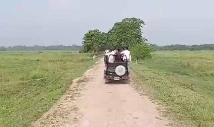 असम के जंगलों में लौटी रौनक, मानस-काजीरंगा में सफारी शुरू; 13 अक्टूबर को खुलेगा पोबितोरा
