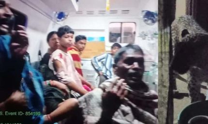 CG में घर में घुसे तेंदुए का आतंक, 6 लोगों पर किया हमला; 3 की हालत गंभीर