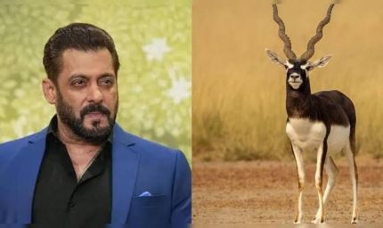 ‘काला हिरण’ फिल्म विवाद में सलमान खान से जवाब तलब, दिल्ली हाईकोर्ट में फिर गरमाया