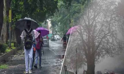 MP Weather: गुलाबी ठंड ने दी दस्तक, पश्चिमी विक्षोभ होगा सक्रिय; कई राज्यों में बारिश के आसार