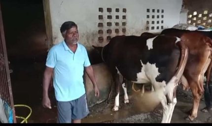 एक गाय से शुरू हुआ सफर, आज 10 पशुओं का समृद्ध पशुधन