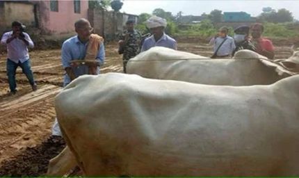 नाना पाटेकर का बिहार से खास नाता, कभी खेत में हल चलाया तो जवानों के बीच सुनाए फिल्मी डायलॉग