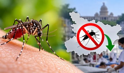 बिहार में डेंगू पर बड़ी राहत! इस साल अब तक एक भी मौत नहीं, मामलों में भी भारी गिरावट