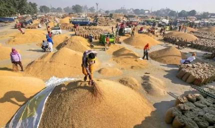 हरियाणा में धान खरीद को लेकर किसानों का फूटा गुस्सा, जींद में लगाया जाम; अंबाला मंडियों में पुलिस तैनात