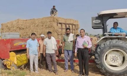 कैथल में पराली जलाने का एक भी मामला नहीं, 60 हजार एकड़ में धान कटाई के बाद किसानों को राहत