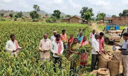 झारखंड में रागी की खेती से किसानों की बढ़ी कमाई, ₹33 किलो बिक रहा मड़ुआ; कम लागत में अच्छा मुनाफा