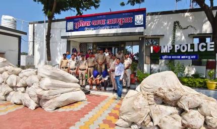 मध्यप्रदेश पुलिस की बड़ी कार्रवाई, अलीराजपुर में 20 क्विंटल गांजे के पौधे जब्त; ₹1 करोड़ की संपत्ति पर एक्शन