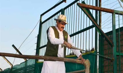 कान्हा टाइगर रिजर्व में 100 साल बाद लौटी जंगली भैंसों की रौनक, CM मोहन यादव ने 8 भैंसों को छोड़ा