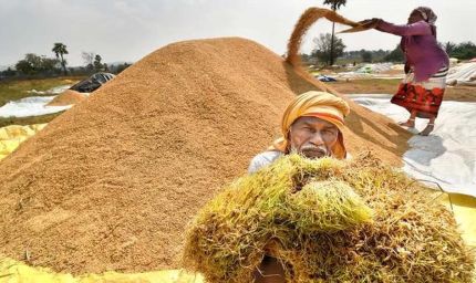 हरियाणा में धान भीगने पर भड़के किसान, कृषि मंत्री के सामने जमकर की नारेबाजी