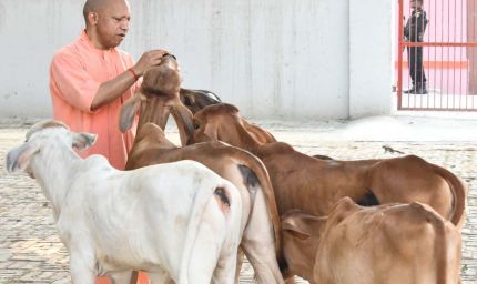 प्रदेश के सभी 75 जिलों में खुलेंगे पंचगव्य के आउटलेट, गोमूत्र और गोबर से तैयार होंगे उत्पाद