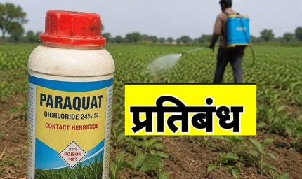राज्य शासन ने पैराक्वेट डाइक्लोराइड के उपयोग पर लगाया प्रतिबन्ध