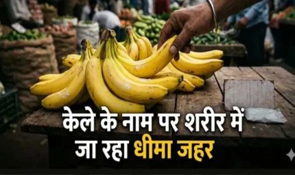 नवरात्र में केले की बढ़ी मांग, केमिकल से पकाने का खतरा! खरीदते समय इन बातों का रखें ध्यान