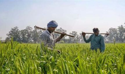 राजस्थान के किसानों को बड़ी राहत, डूंगरपुर और जालोर में करोड़ों के फसल बीमा क्लेम का रास्ता साफ