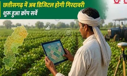 डिजिटल क्रॉप सर्वे के भुगतान संबंधी शिकायत पर कृषि विभाग ने की कार्यवाही