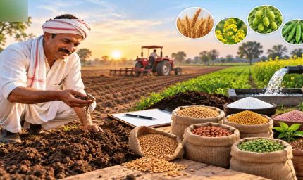 रबी फसलों के बीज का पर्याप्त भण्डारण,किसान अधिकृत विक्रय केन्दों में बीज प्राप्त करें