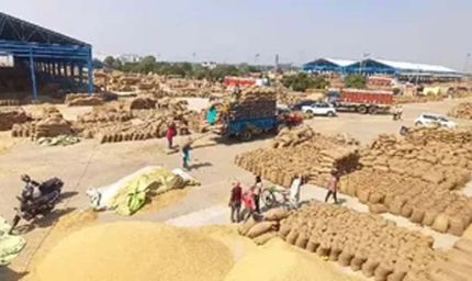 हरियाणा में 1,433 चावल मिलों का ऑनलाइन पंजीकरण, 1,215 का जियो-फेंसिंग से सत्यापन पूरा