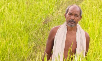 कृषक उन्नति योजना से शंकर प्रसाद की खेती को मिलेगा आर्थिक संबल, तीन एकड़ में सुगंधित धान की खेती पर मिलेंगे 45 हजार रुपये