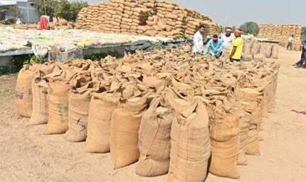छत्तीसगढ़ में धान खरीदी की तैयारी तेज, किसानों को नहीं होगी परेशानी