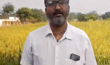 धान की जगह रागी की खेती से दिनेश को मिलेगा 10 हजार रुपये का प्रोत्साहन