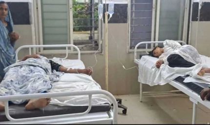 माता की मूर्ति विसर्जन यात्रा में मधुमक्खियों का हमला, मची भगदड़; 25 लोग घायल, 13 अस्पताल में भर्ती