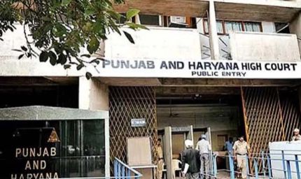 मोहाली अस्पताल को हाईकोर्ट का आदेश, 22 पेड़ों की कटाई के बदले लगाने होंगे 5 गुना पौधे