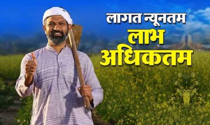 प्राकृतिक खेती से बदलेगी गांवों की अर्थव्यवस्था, यूपी में बनेंगे प्राकृतिक खेती के जिले