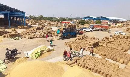 हरियाणा के किसानों को राहत, तय सीमा से ज्यादा धान भी MSP पर खरीदेगी सरकार