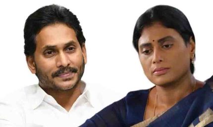 जगन रेड्डी ने भांजी की शादी के लिए महल देने से किया इनकार? भाई-बहन के रिश्ते में दरार की चर्चा