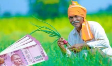 अरवल के किसानों को रबी फसलों के बीज पर मिलेगा 65% अनुदान, ऑनलाइन आवेदन शुरू