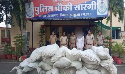 मध्यप्रदेश पुलिस की अवैध मादक पदार्थो के विरूद्ध बड़ी कार्रवाई