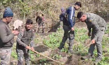 झारखंड में अफीम की खेती पर वन विभाग का शिकंजा, जीआईएस और ड्रोन से 18 जिलों में निगरानी तेज
