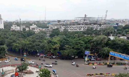 इंदौर में 182 हरे-भरे पेड़ों की कटाई को हाई कोर्ट की सशर्त मंजूरी, हजारों पक्षी होंगे प्रभावित