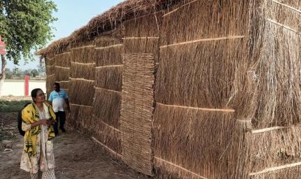 औरंगाबाद में मशरूम की खेती पर 80% सब्सिडी, 2000 किसानों को मुफ्त मिलेंगी मशरूम किट