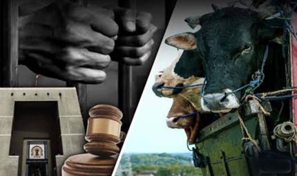छत्तीसगढ़ में गौ हत्या के आरोपियों का केस नहीं लड़ेंगे वकील, लिखित पत्र जारी