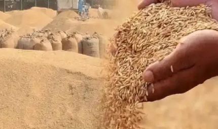 झारखंड के किसानों को अब धान पर मिलेगा ₹109 प्रति क्विंटल बोनस, सरकार पर पड़ेगा ₹43.60 करोड़ का अतिरिक्त बोझ