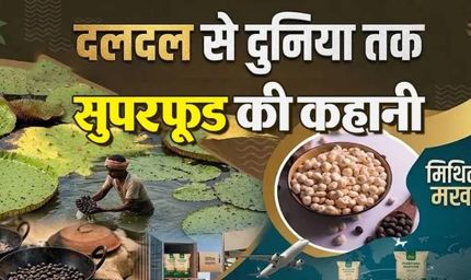 बिहार के मखाने का दुनिया में दबदबा, तालाबों से निकलकर न्यूयॉर्क-लंदन तक पहुंचा मिथिला का ‘सफेद मोती’